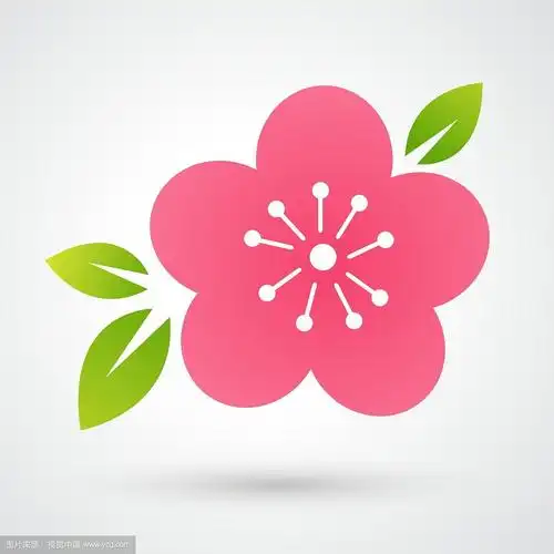 云云花