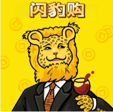 闪豹购