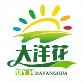 大洋花